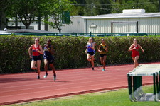 Enlarge photo 372