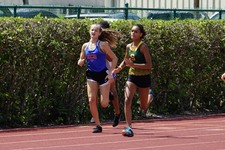 Enlarge photo 373