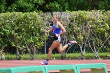 Enlarge photo 382