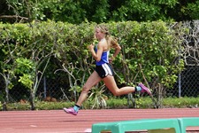 Enlarge photo 383