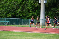 Enlarge photo 391