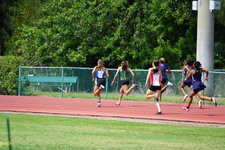 Enlarge photo 392