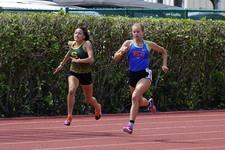 Enlarge photo 393