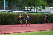 Enlarge photo 394