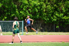 Enlarge photo 463