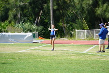 Enlarge photo 495