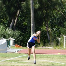 Enlarge photo 494