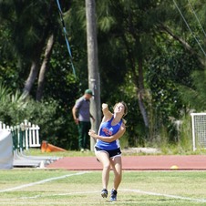 Enlarge photo 508