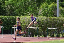Enlarge photo 520