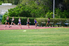 Enlarge photo 523
