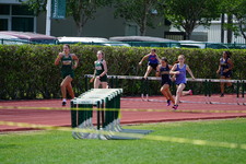 Enlarge photo 525