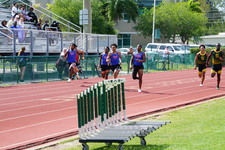 Enlarge photo 673