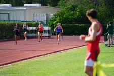 Enlarge photo 713