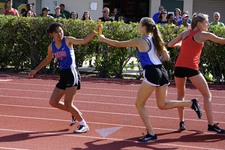 Enlarge photo 731