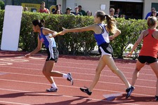 Enlarge photo 732