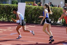 Enlarge photo 733