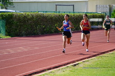 Enlarge photo 745