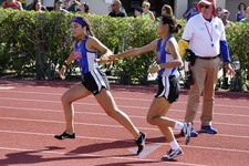 Enlarge photo 749