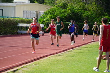 Enlarge photo 786