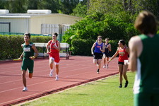 Enlarge photo 806