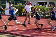 Enlarge photo 814