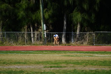 Enlarge photo 122