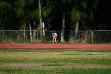 Enlarge photo 123