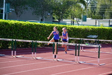 Enlarge photo 146