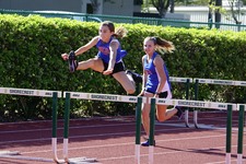 Enlarge photo 145
