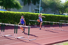 Enlarge photo 154