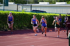 Enlarge photo 217