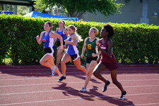 Enlarge photo 223