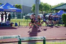 Enlarge photo 229
