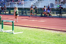 Enlarge photo 233