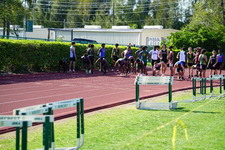 Enlarge photo 234