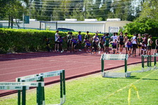 Enlarge photo 236