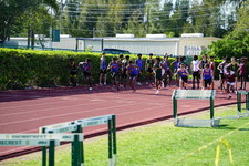 Enlarge photo 239