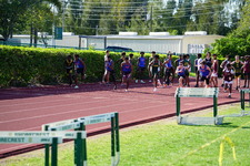 Enlarge photo 240