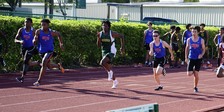 Enlarge photo 243
