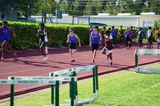 Enlarge photo 246