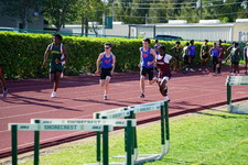 Enlarge photo 245