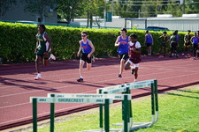Enlarge photo 249
