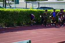 Enlarge photo 251