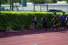 Enlarge photo 252