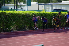 Enlarge photo 254