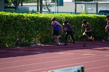 Enlarge photo 255