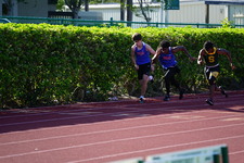 Enlarge photo 256