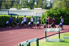 Enlarge photo 265