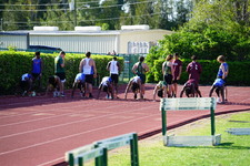 Enlarge photo 266