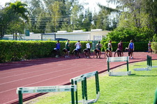 Enlarge photo 269